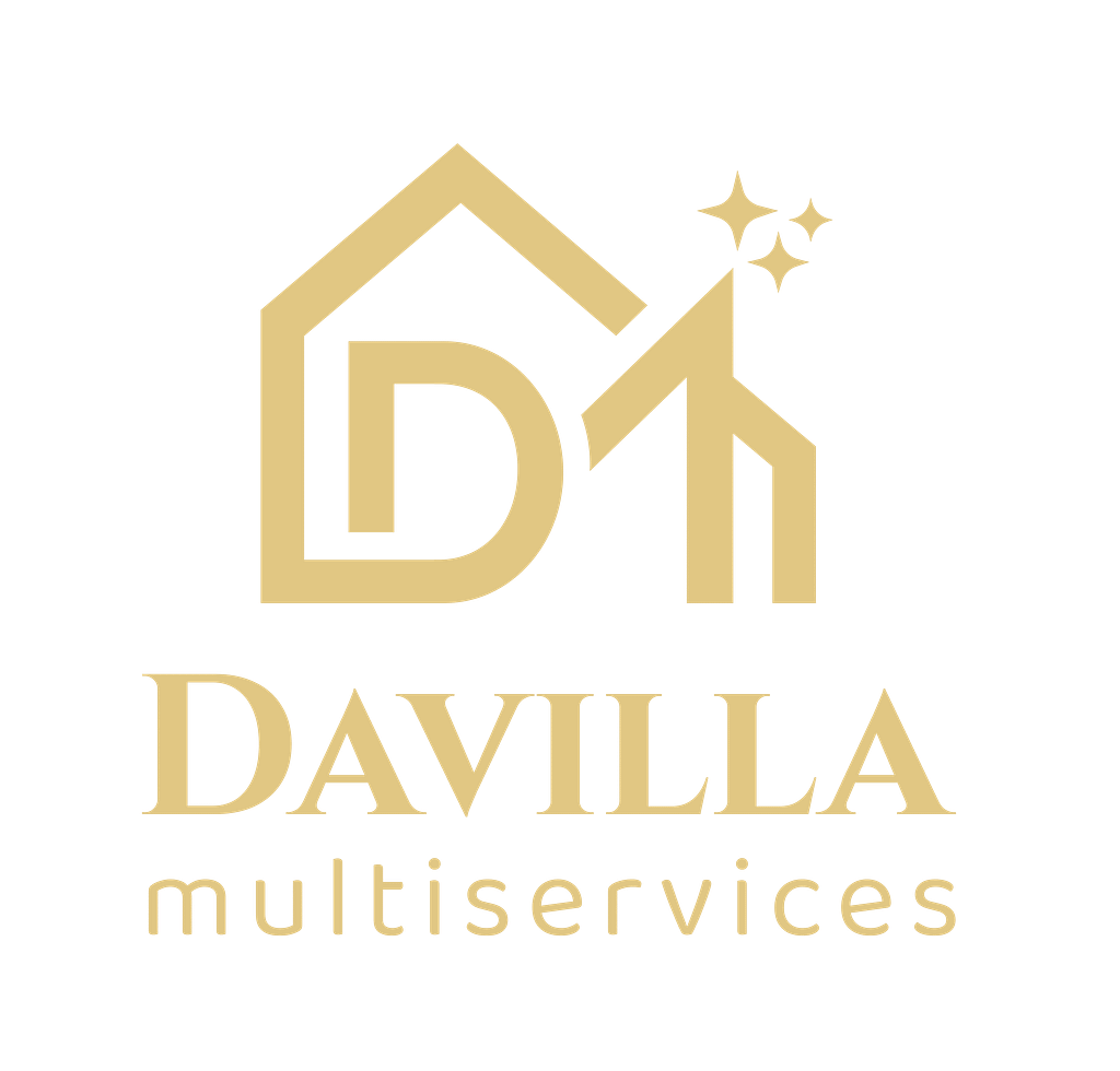 Logo Davilla multiservices
